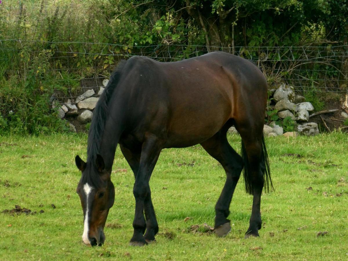 Kingarrow Cottage Omagh Luaran gambar